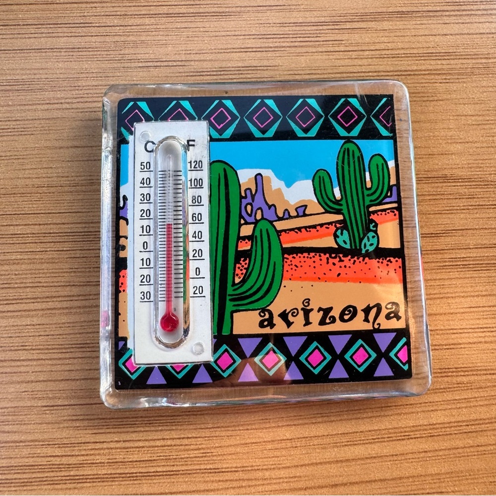 Vintage Souvenir‎ Arizona Thermometer Magnet Desert Cactus